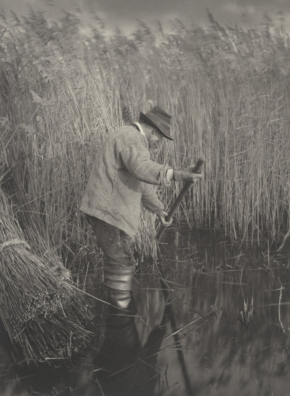 Ein Schilfschneider bei der Arbeit, 1886 von Thomas Frederick Goodall