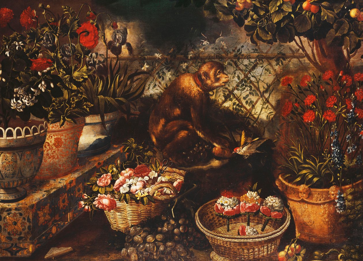 Ein Affe in einem eingezäunten Garten von Thomas Hiepes