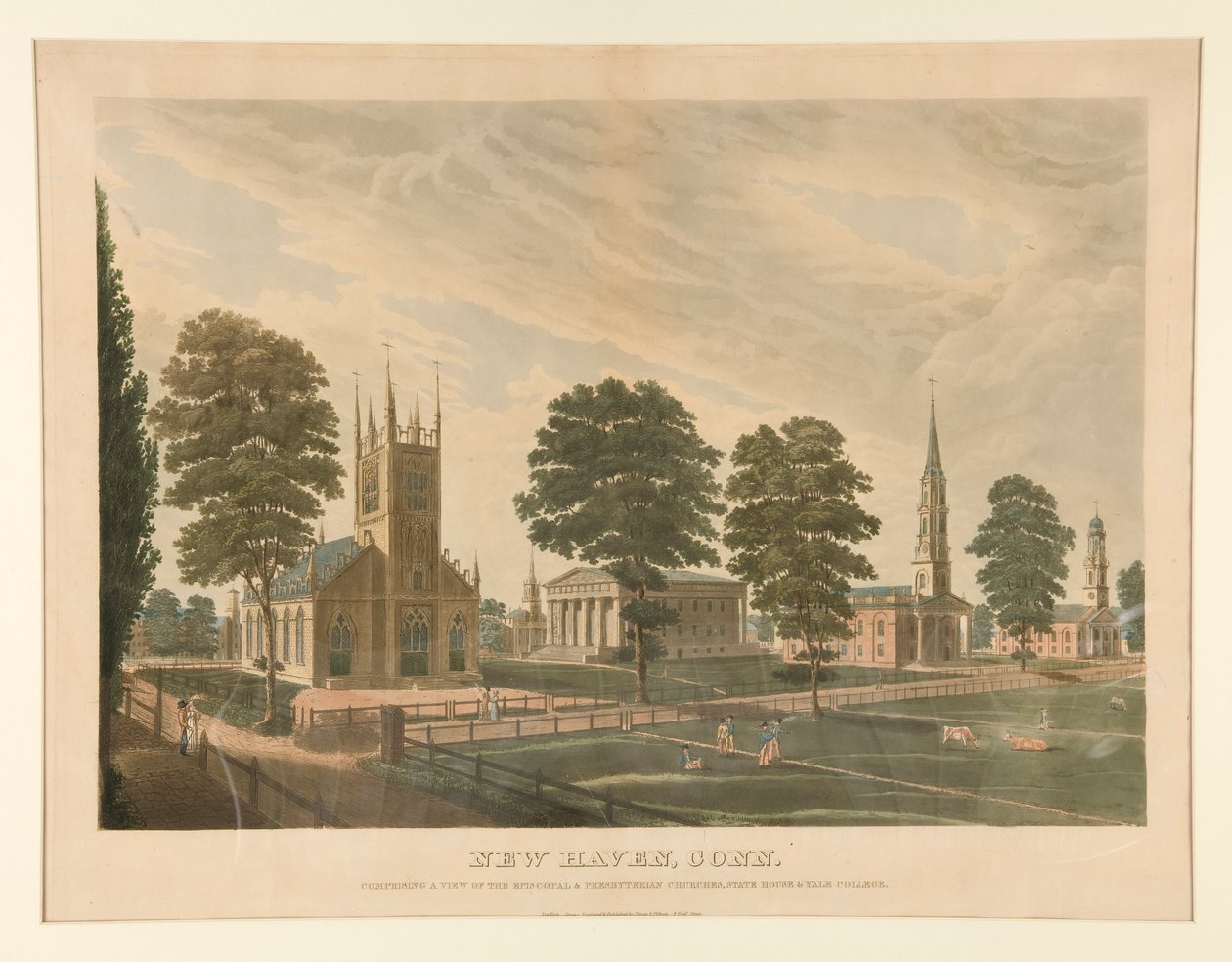 New Haven, Conn. (Stokes 30) von Thomas Illman