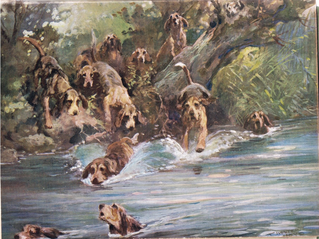 In den Fluss, Illustration aus 