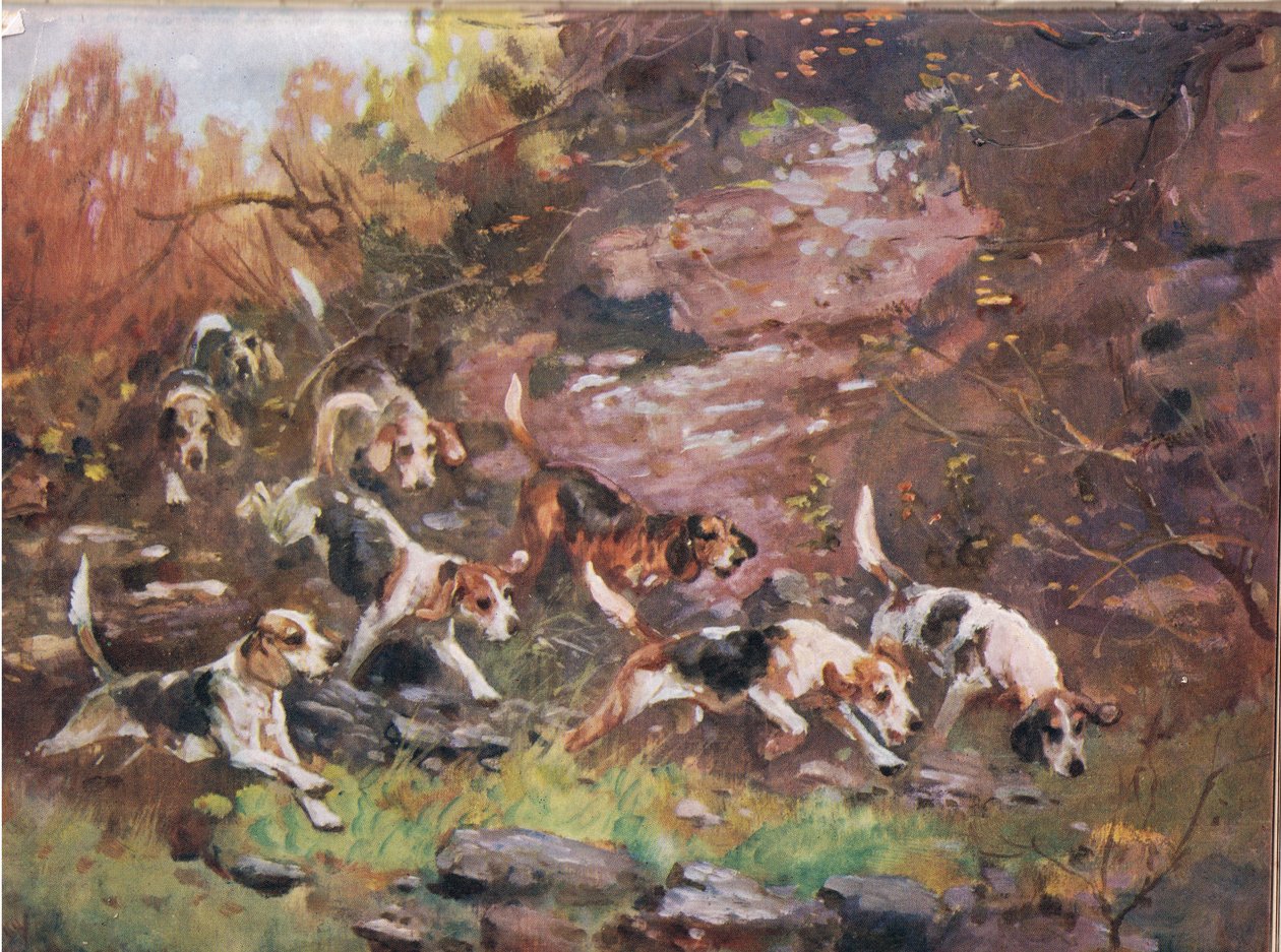 Durch das Unterholz, Illustration aus 