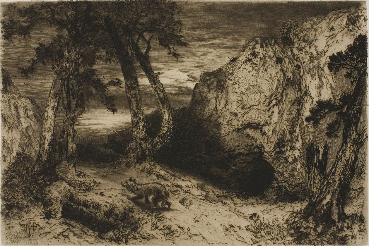 Der Kojote - Arizona von Thomas Moran