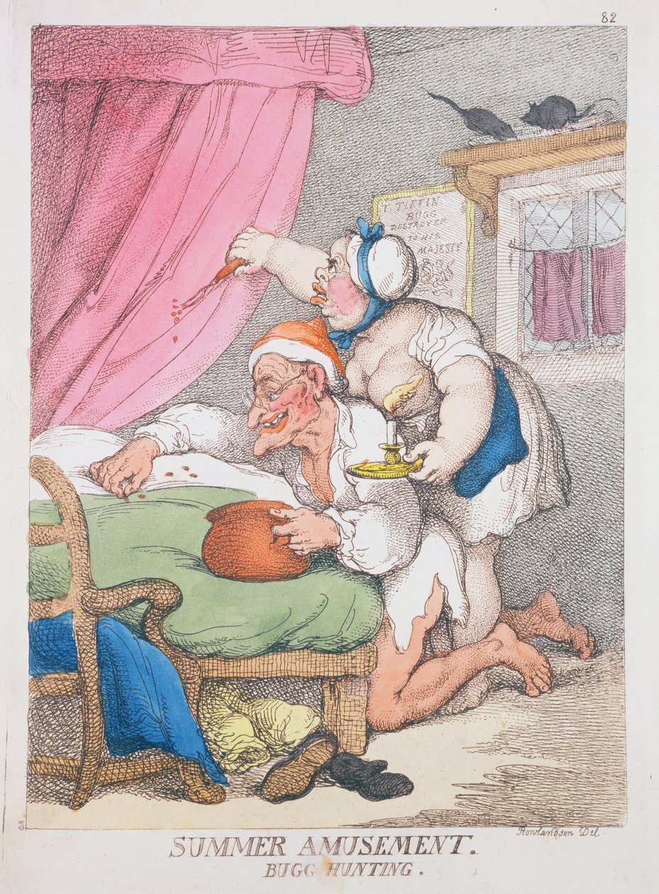 Sommervergnügen. Käferjagd von Thomas Rowlandson