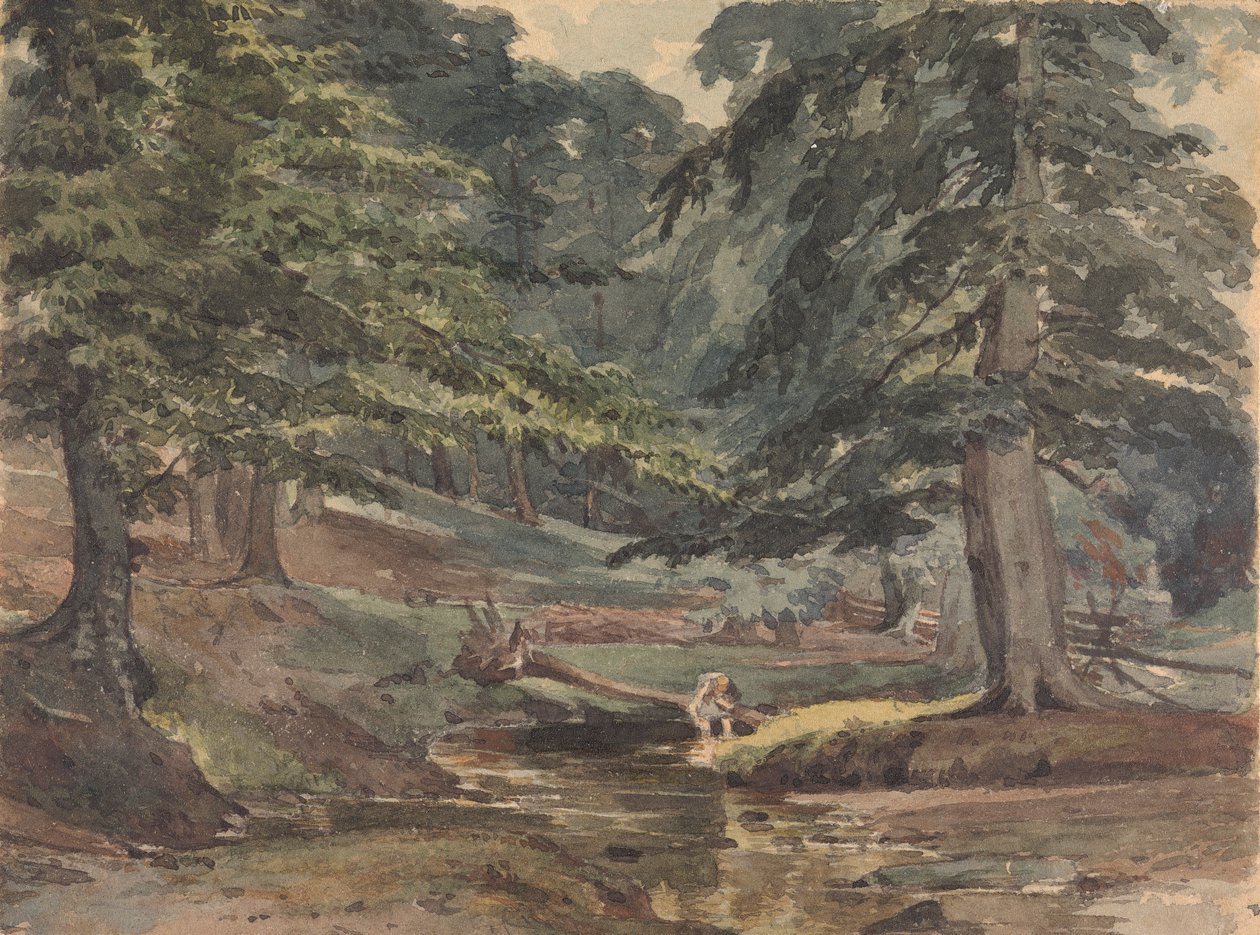 Bewaldete Flusslandschaft von Thomas Sully