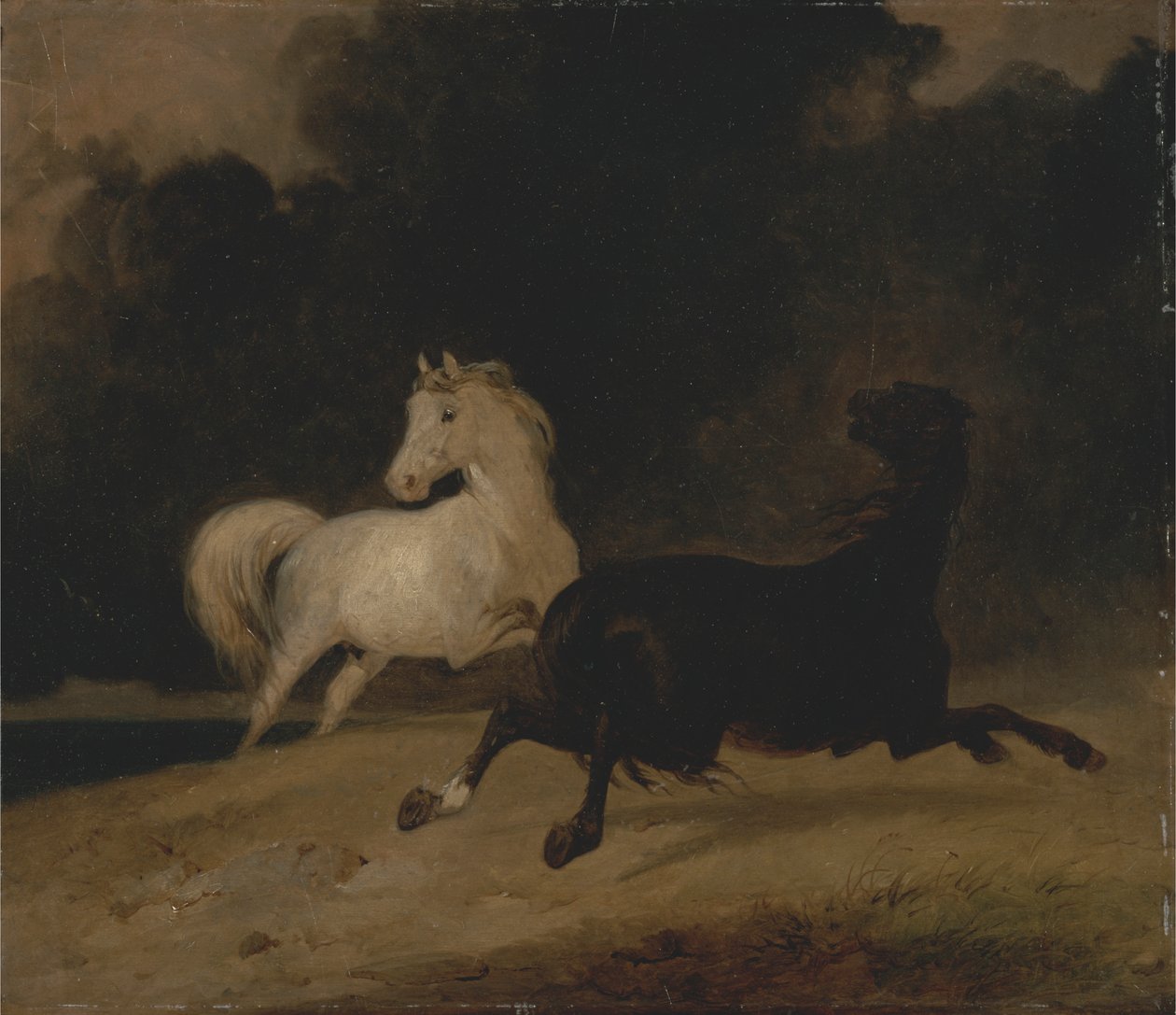 Pferde in einem Gewitter von Thomas Woodward