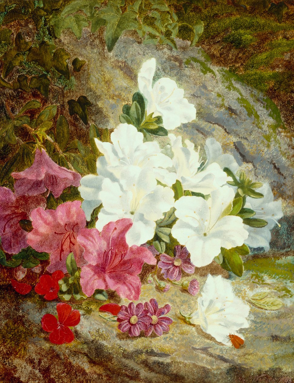 Azaleen von Thomas Worsey