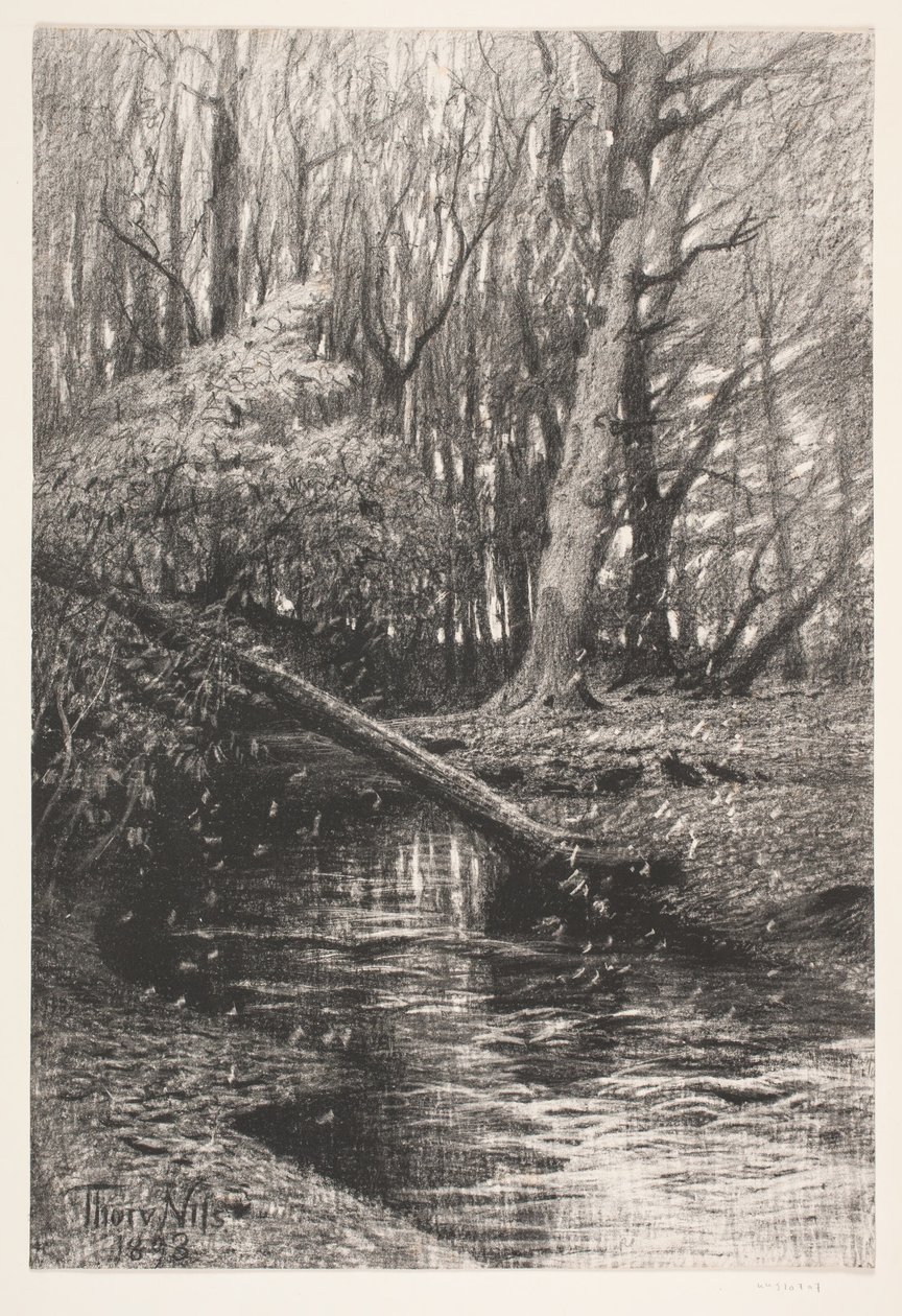 Waldlandschaft mit einem Bach von Thorvald Niss