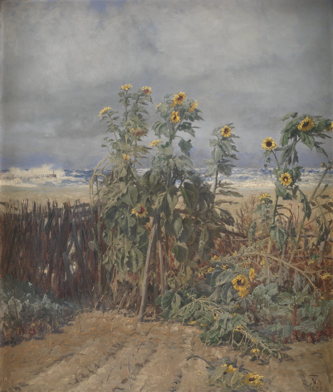 Sonnenblumen am Strand von Thorvald Niss