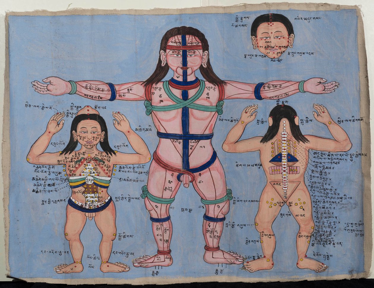 Anatomische Tafel von Tibetan School