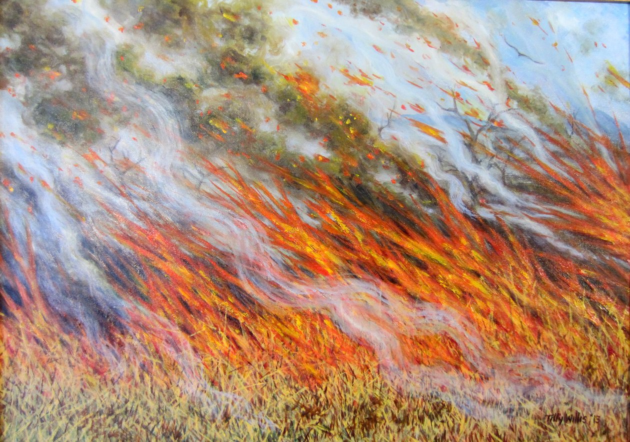 Buschfeuer-Inferno, 2014 von Tilly Willis