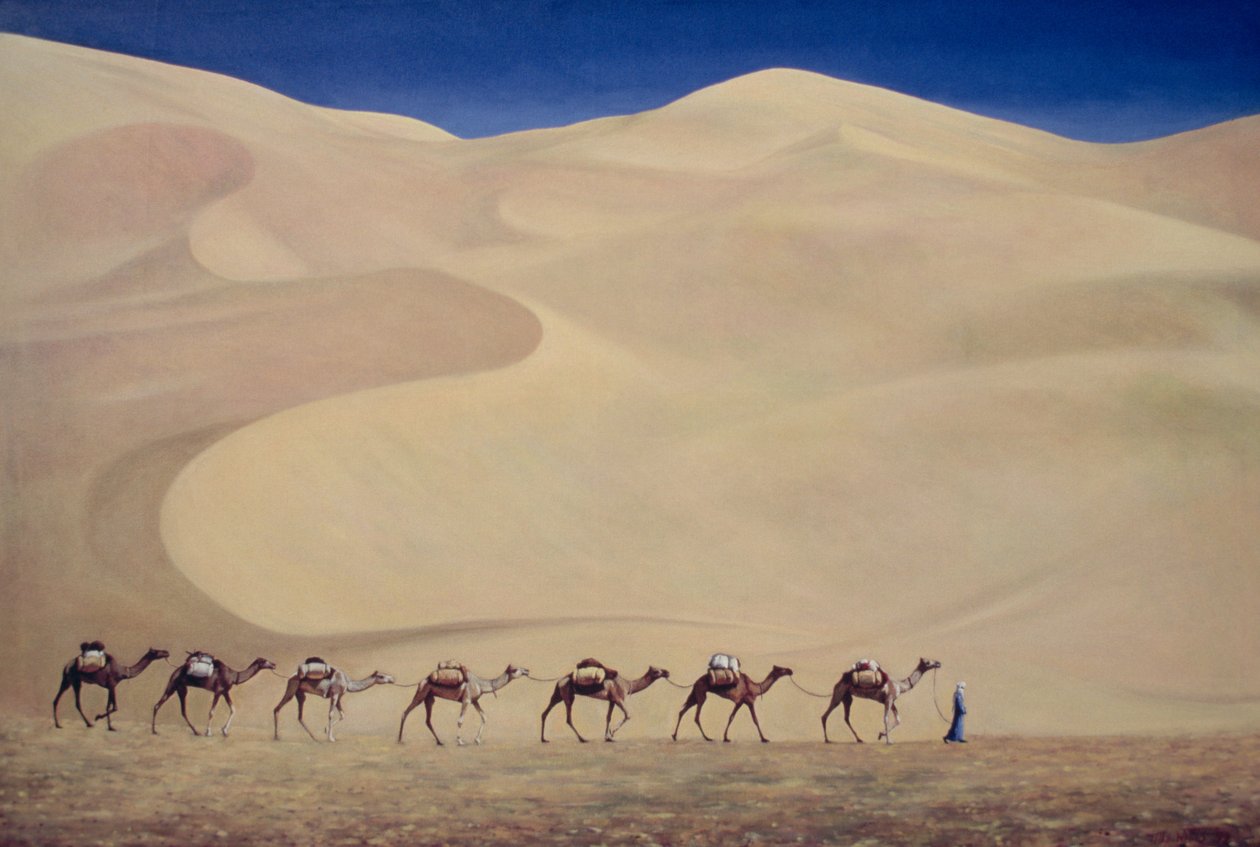 Kamelkarawane, 1993 von Tilly Willis