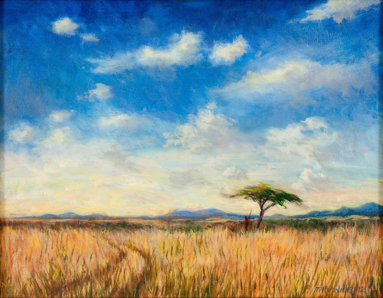 Mara-Landschaft, 2012 von Tilly Willis