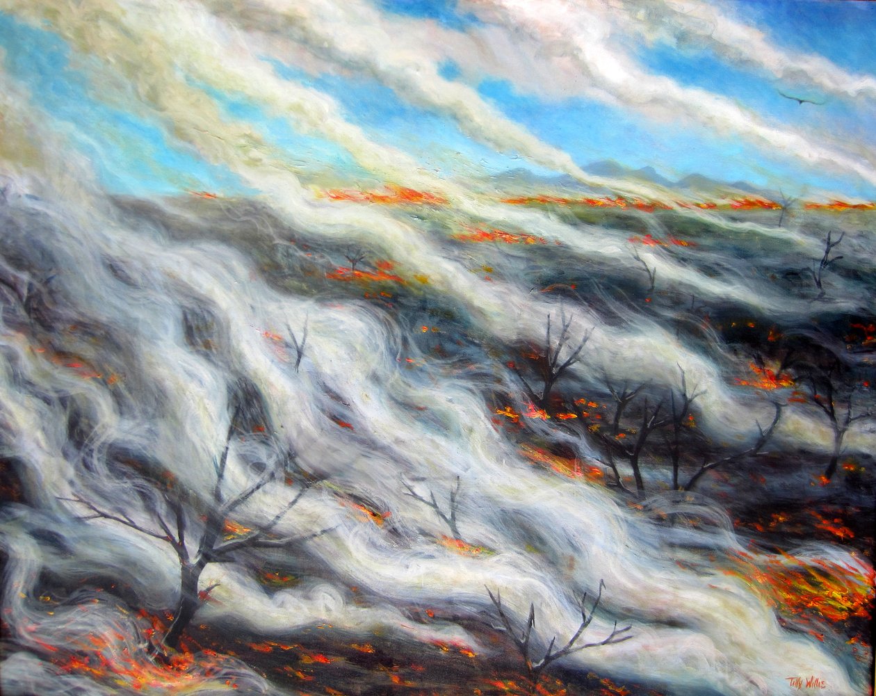Verbrannte Erde, 2014 von Tilly Willis