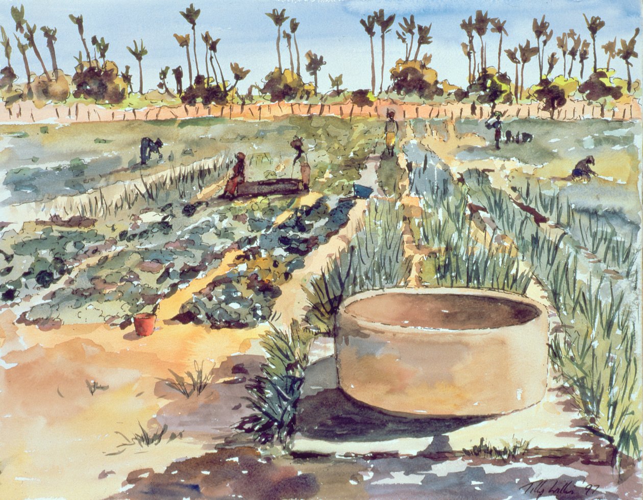 Der Frauengarten, Senegal, Westafrika, 1997 von Tilly Willis