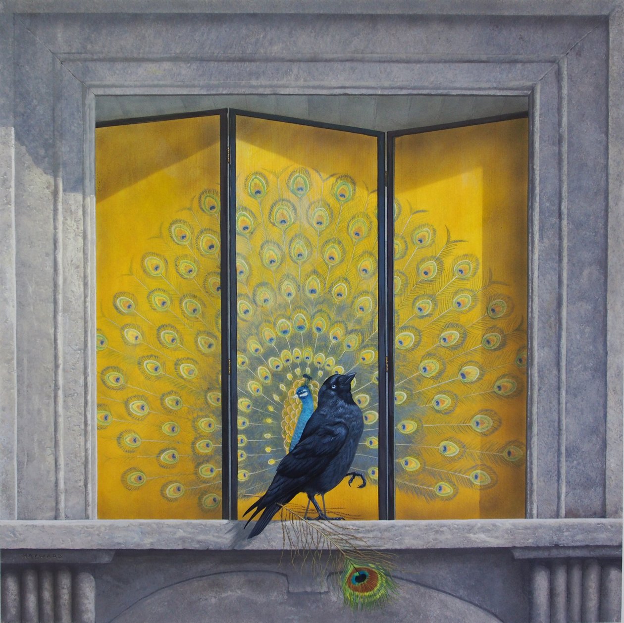 Die eitle Dohle von Tim Hayward