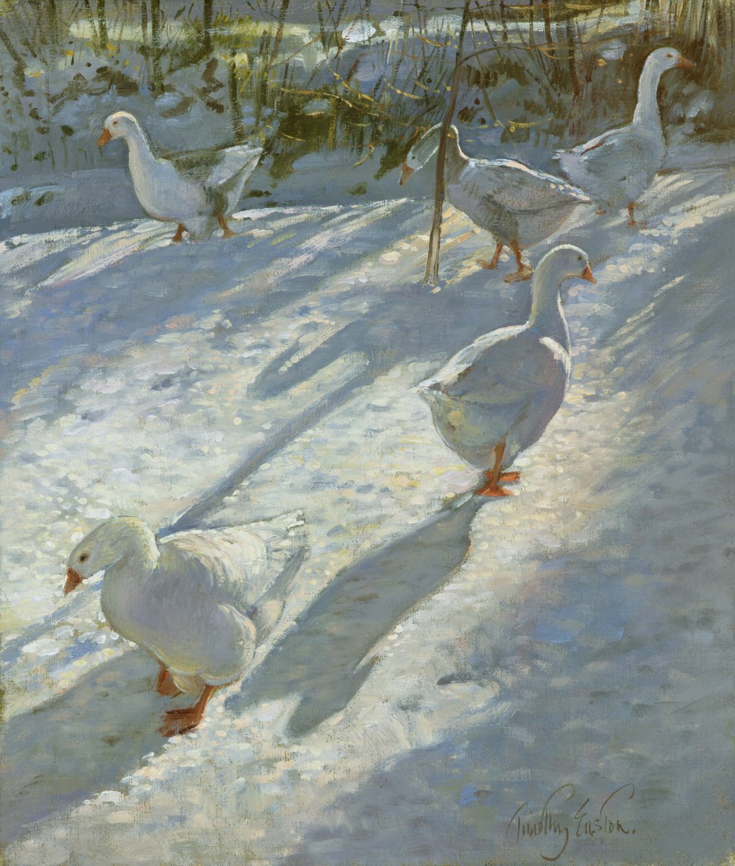 Erkundung des Abhangs von Timothy Easton