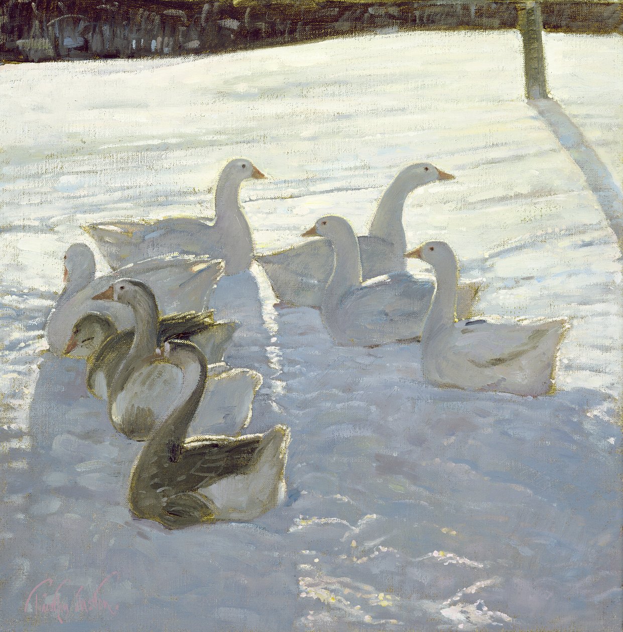 Gänse gegen das Licht von Timothy Easton