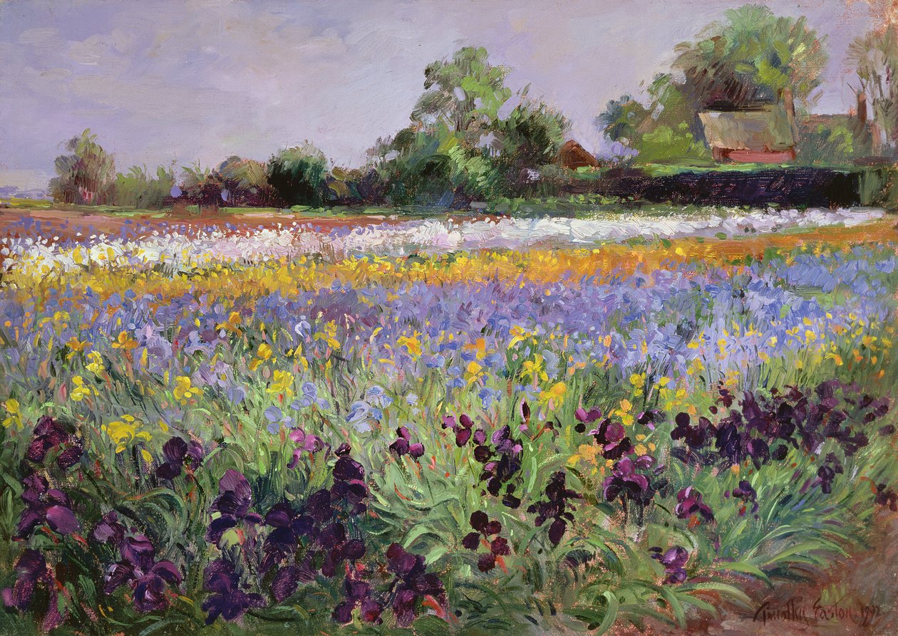 Irisfeld und zwei Hütten von Timothy Easton