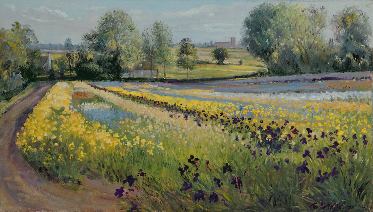 Iris Hang, 1991 von Timothy Easton