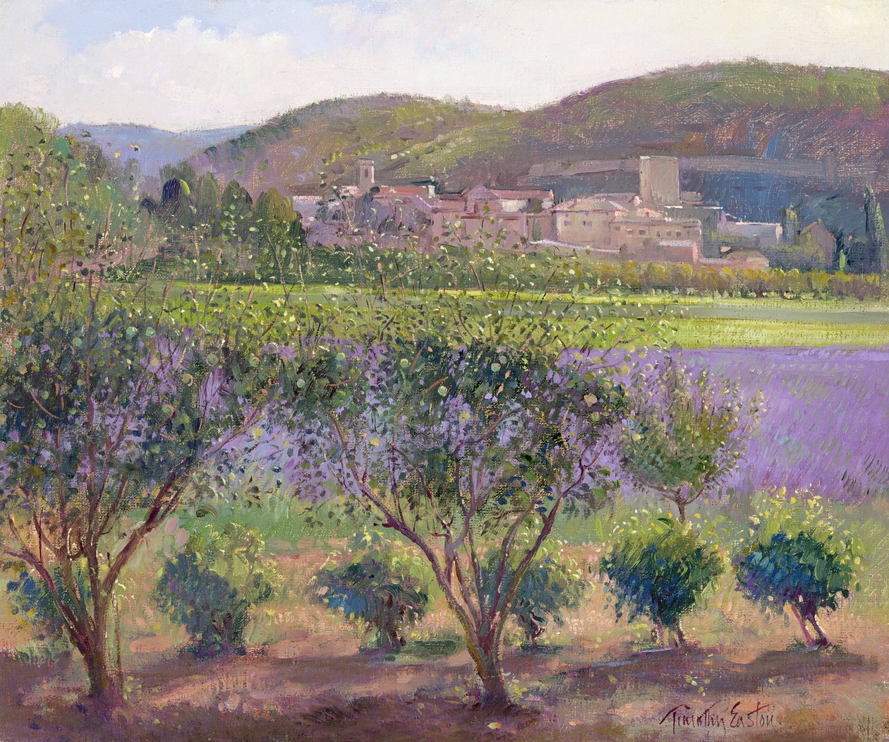 Lavendel durch Quittenbäume gesehen, Monclus von Timothy Easton