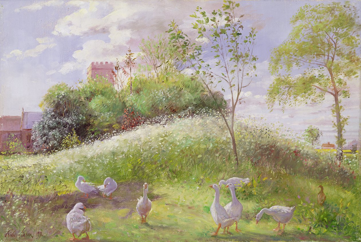May Mount, 1991 von Timothy Easton