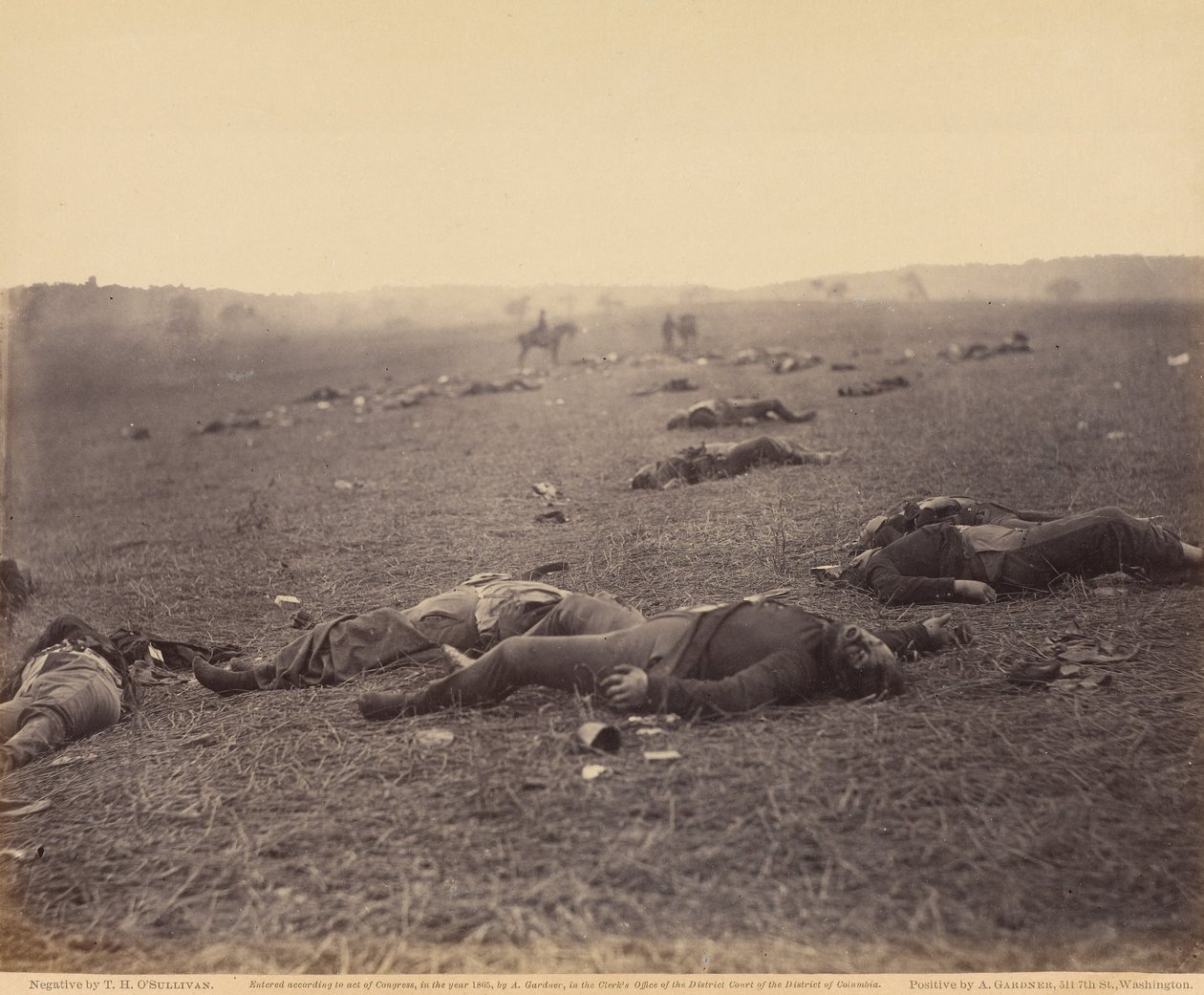 Eine Ernte des Todes von Timothy H. OSullivan