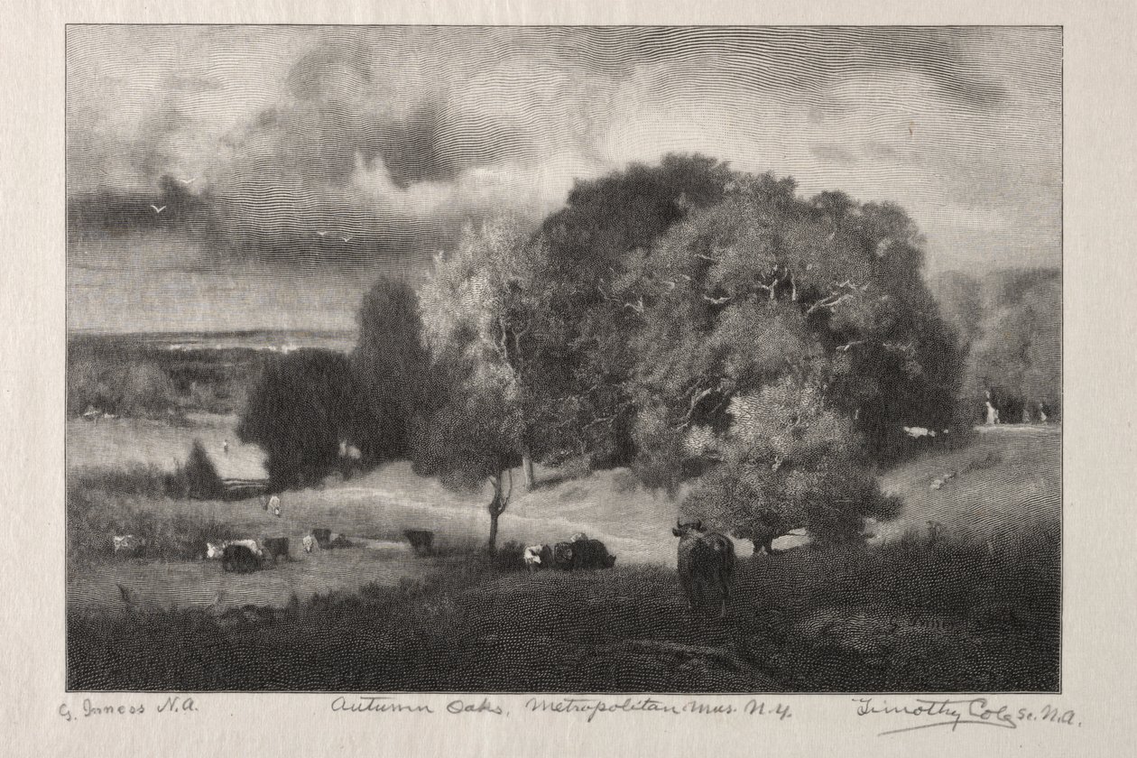 Herbst-Eichen von Timothy Cole