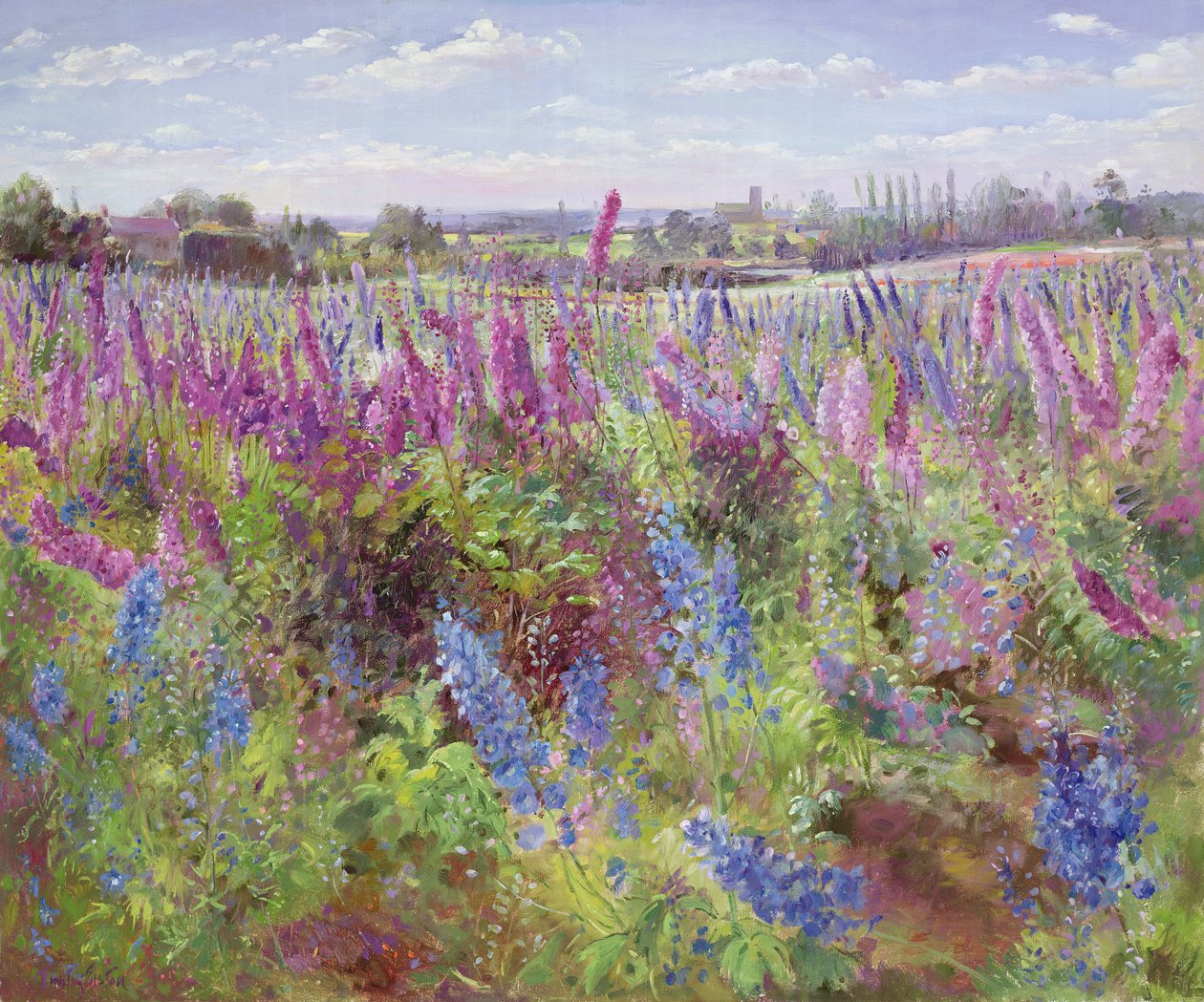 Delphiniumfeld und Kirche von Timothy Easton