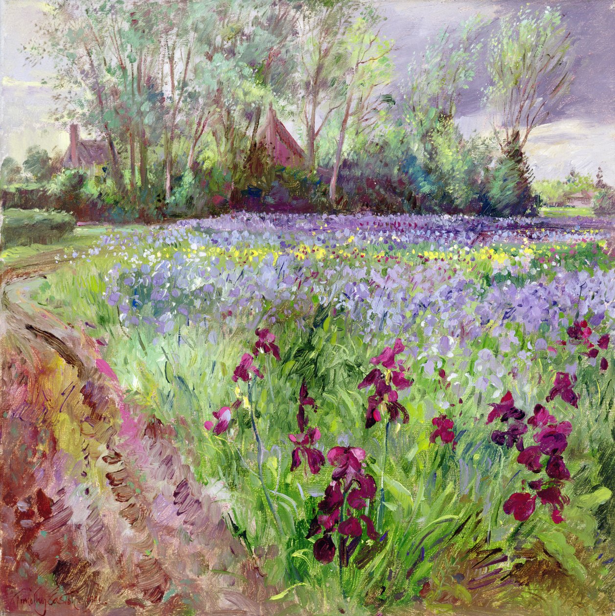 Irisfeld, Sturm zieht auf von Timothy Easton
