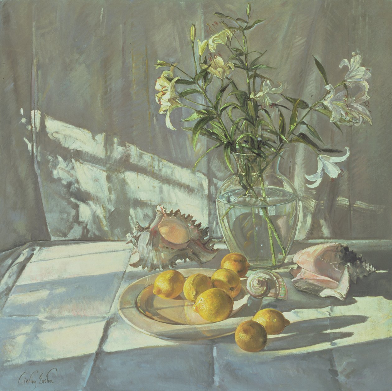 Reflexionen und Schatten von Timothy Easton