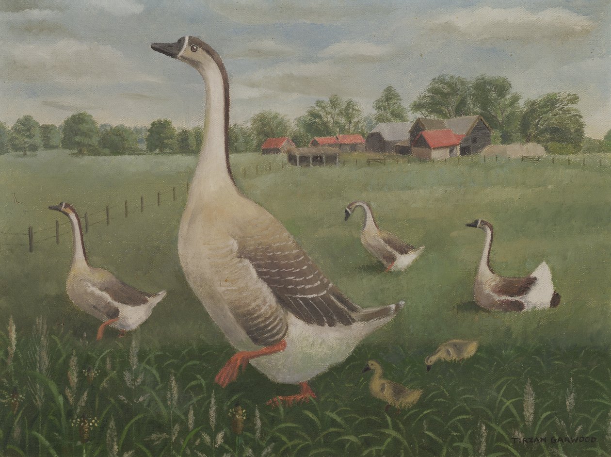 Wohin wirst du wandern? von Tirzah Ravilious