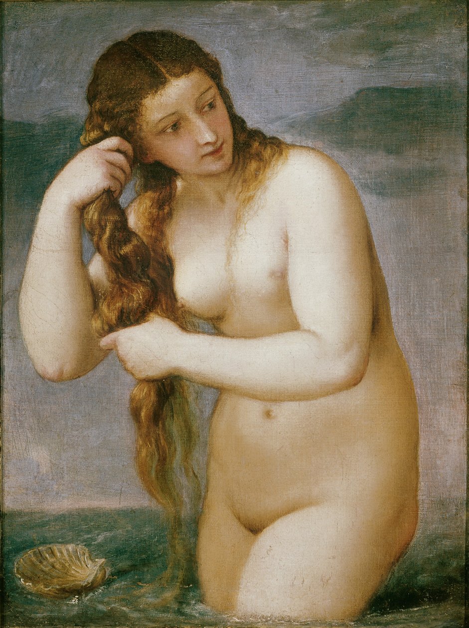 Venus Anadyomene von Tiziano Vecelli