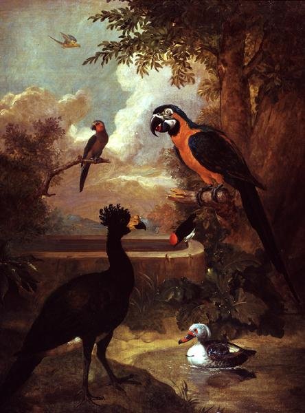 Wildgeflügel von Tobias Stranover