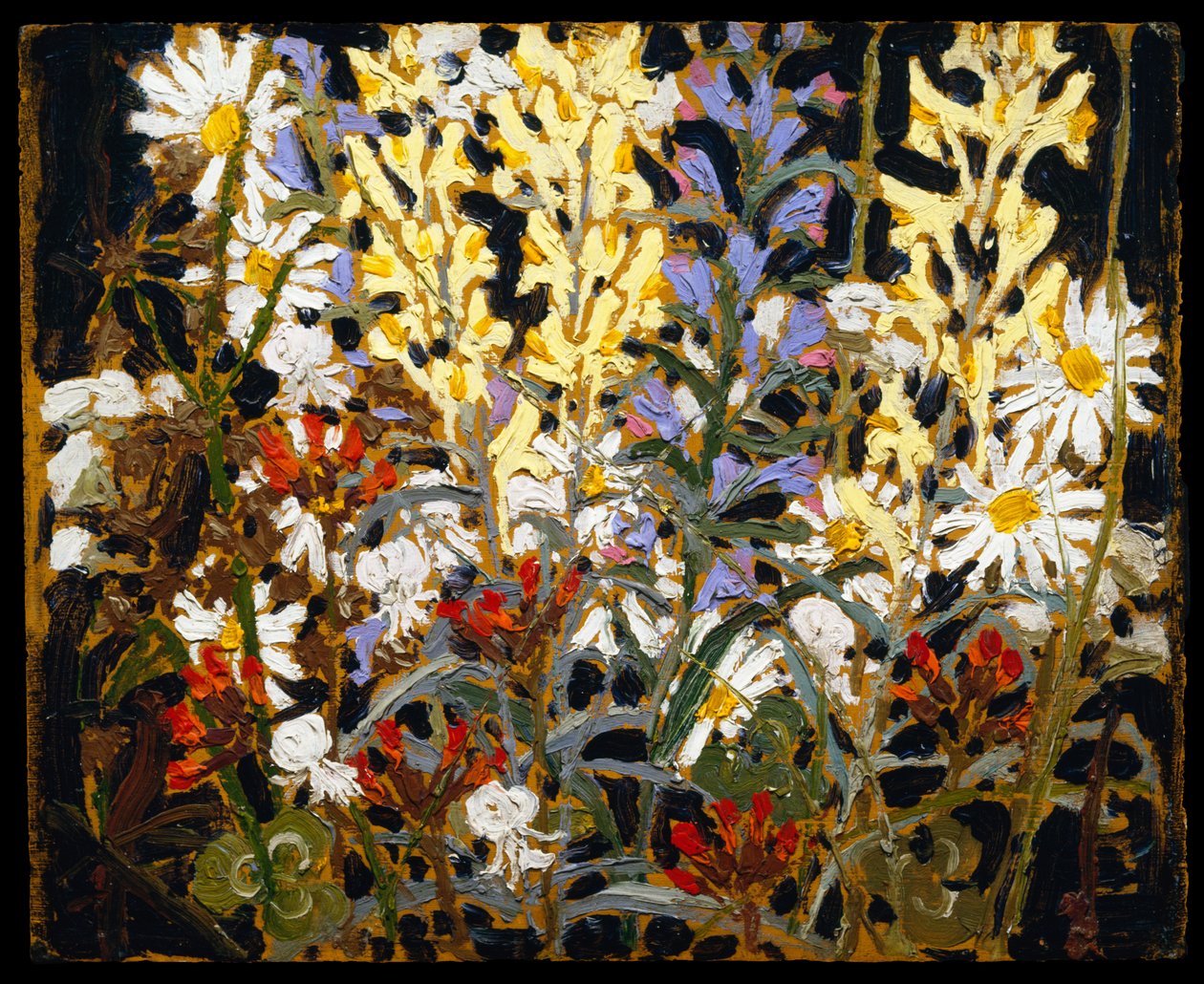 Wildblumen von Tom Thomson