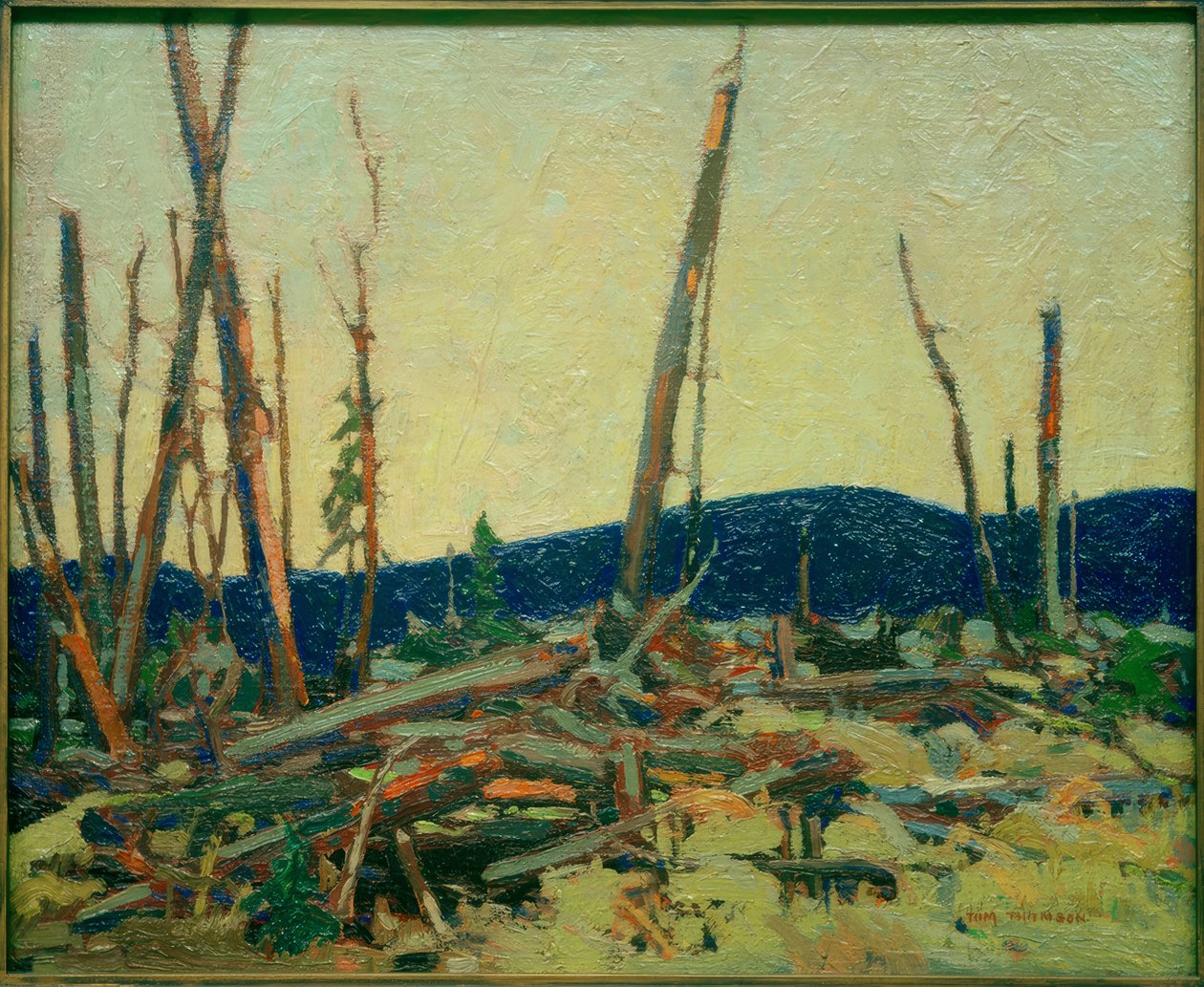 Verbranntes Land von Tom Thomson