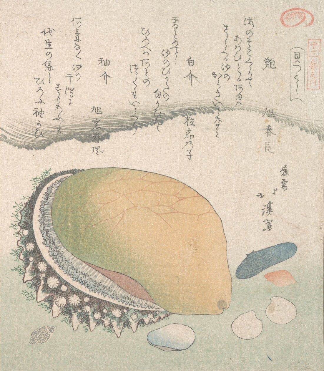 Awabi-Ohrmuschel und verschiedene Muscheln, 19. Jahrhundert von Totoya Hokkei