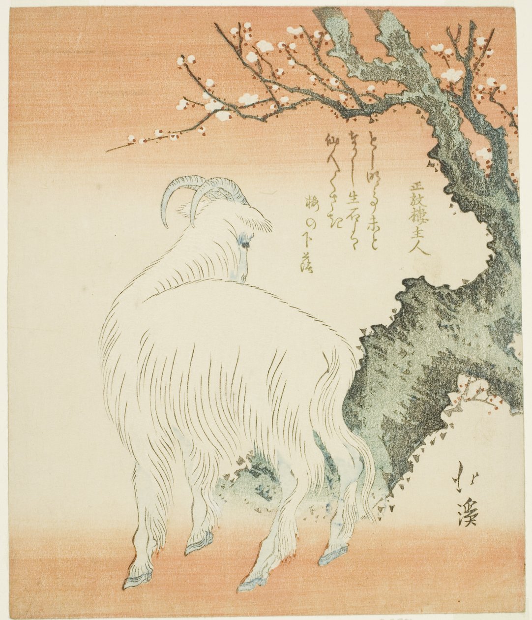 Ziege unter einem Pflaumenbaum von Totoya Hokkei
