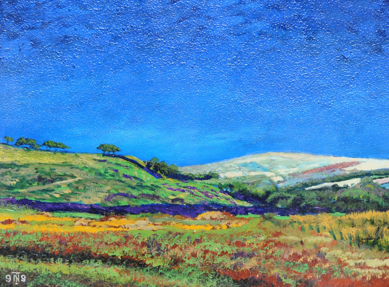 Landschaft in Derbyshire, 1999 von Trevor Neal