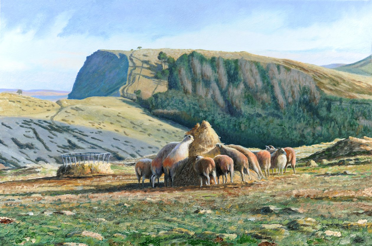 Schaf Fütterung, 2004 von Trevor Neal