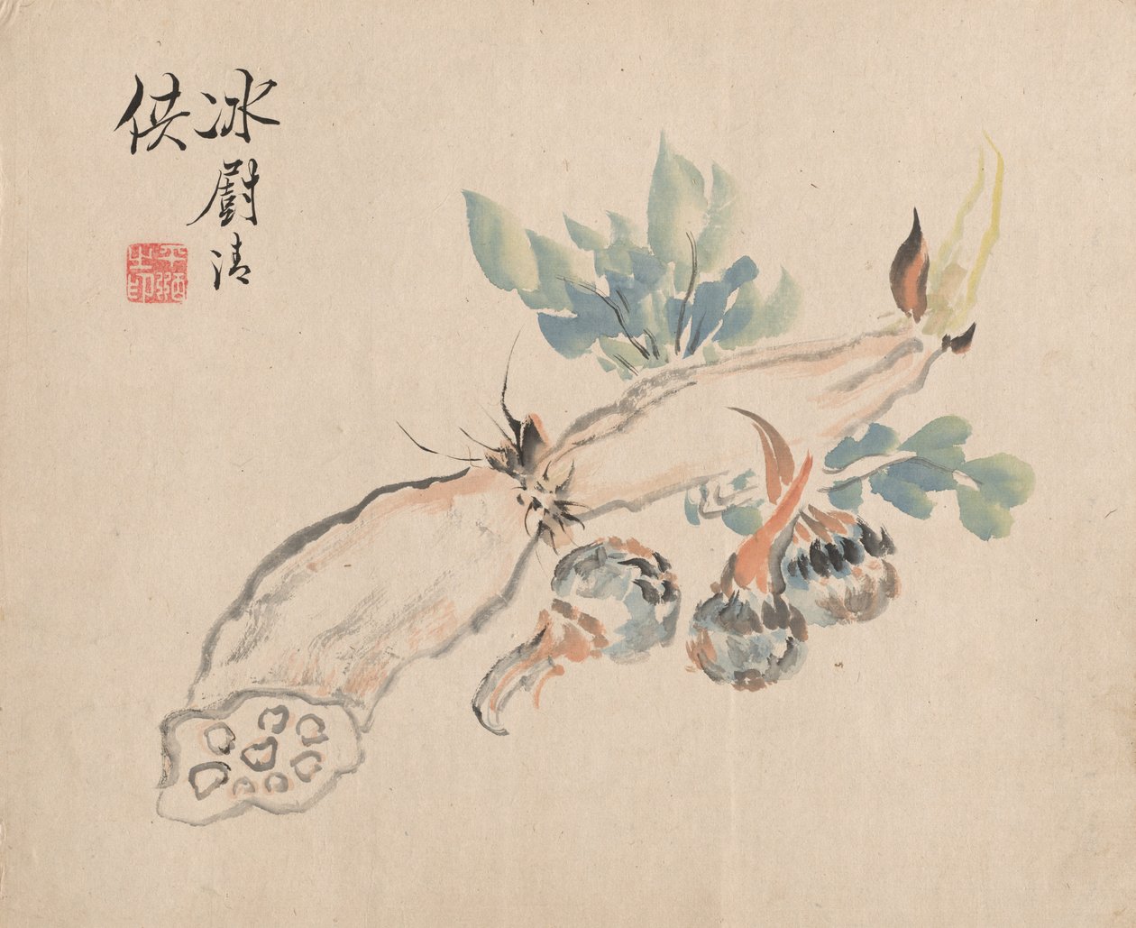 Lotuswurzel und Natternzunge von Tsubaki Chinzan