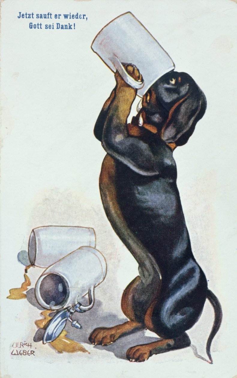 Ein Dackel trinkt Bier, ca. 1900 von Ulrich Weber