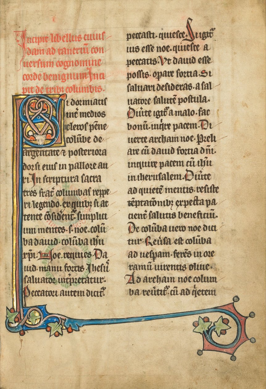 Geschmücktes Initial S von Unbekannt Unbekannt