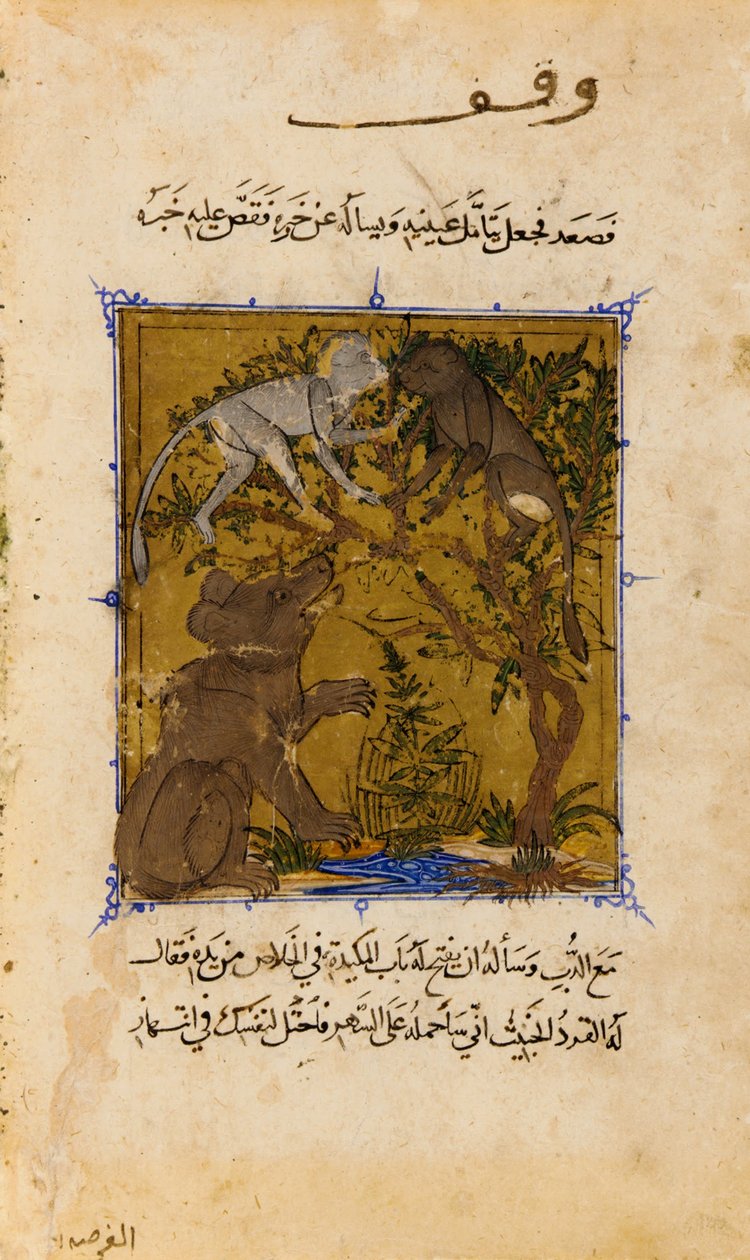 Folio aus einem Sulwan al-Muta (Trost des Vergnügens) von Ibn Zafar; verso: Die Geschichte des Bären und des M... von Unbekannt Unbekannt