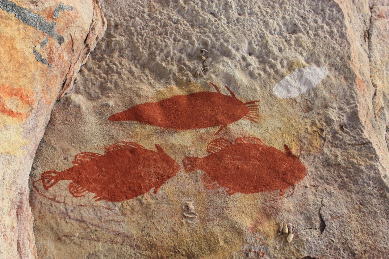 Roter Ockerfisch von Unbekannt Unbekannt