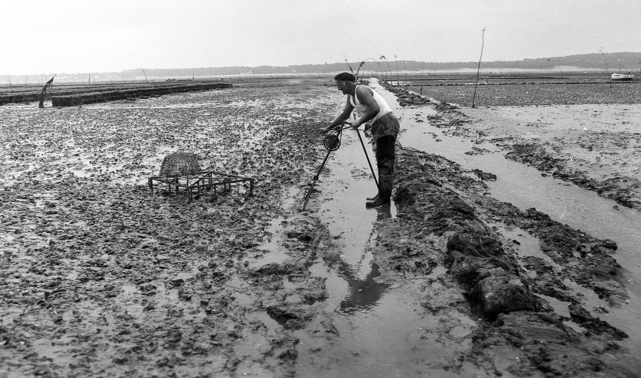 Ostreicular in Vendee, August 1974 von Unbekannt