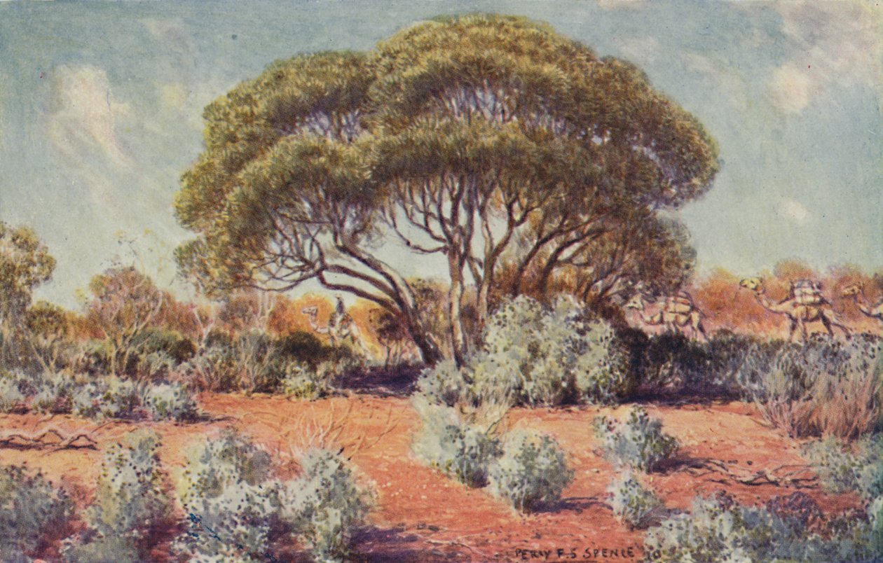 Ein fruchtbarer Fleck in Zentral-Australien, 1923 von Unbekannt