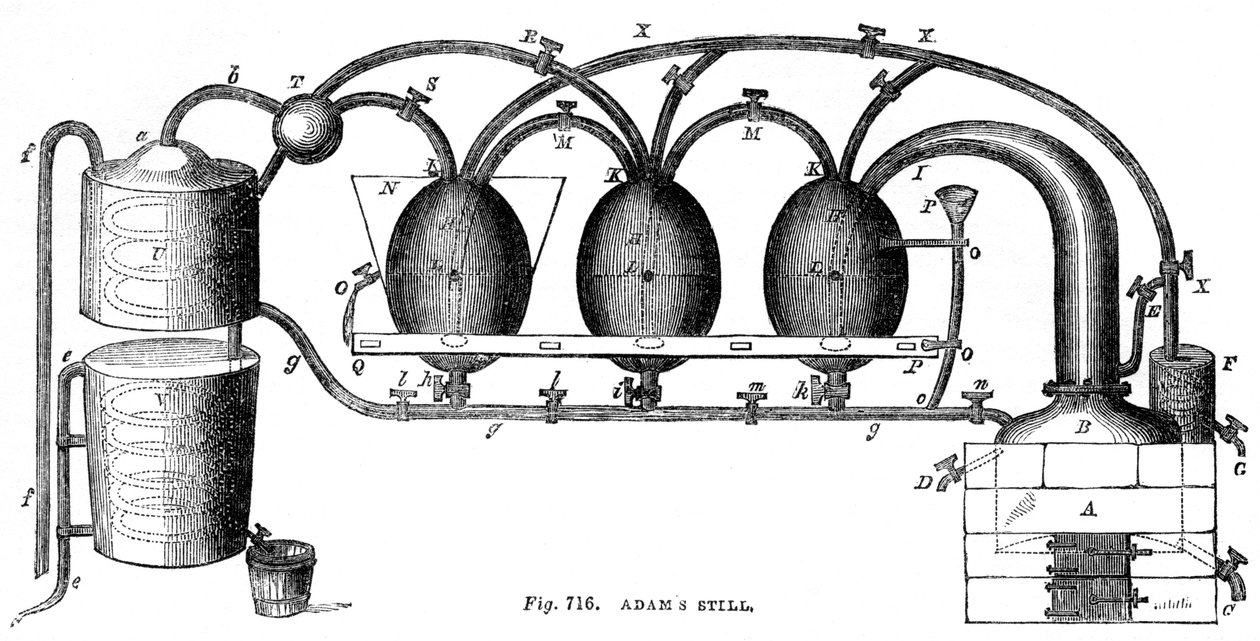 Adams still, 1886 von Unbekannt