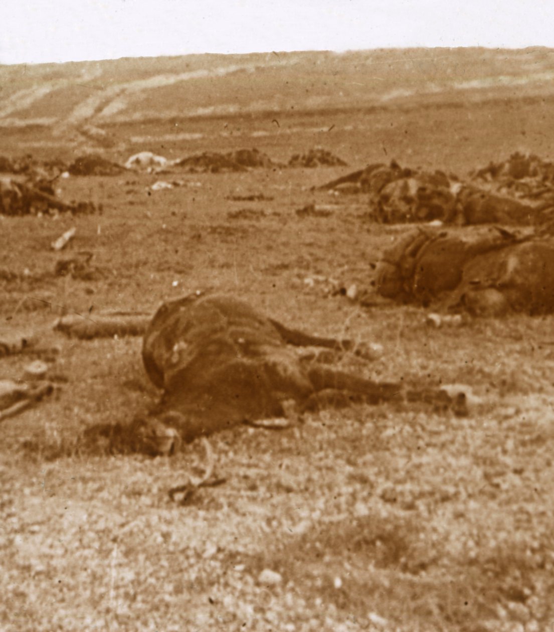 Nach dem Angriff, Beauséjour, Nordfrankreich, ca. 1914-1918 von Unbekannt