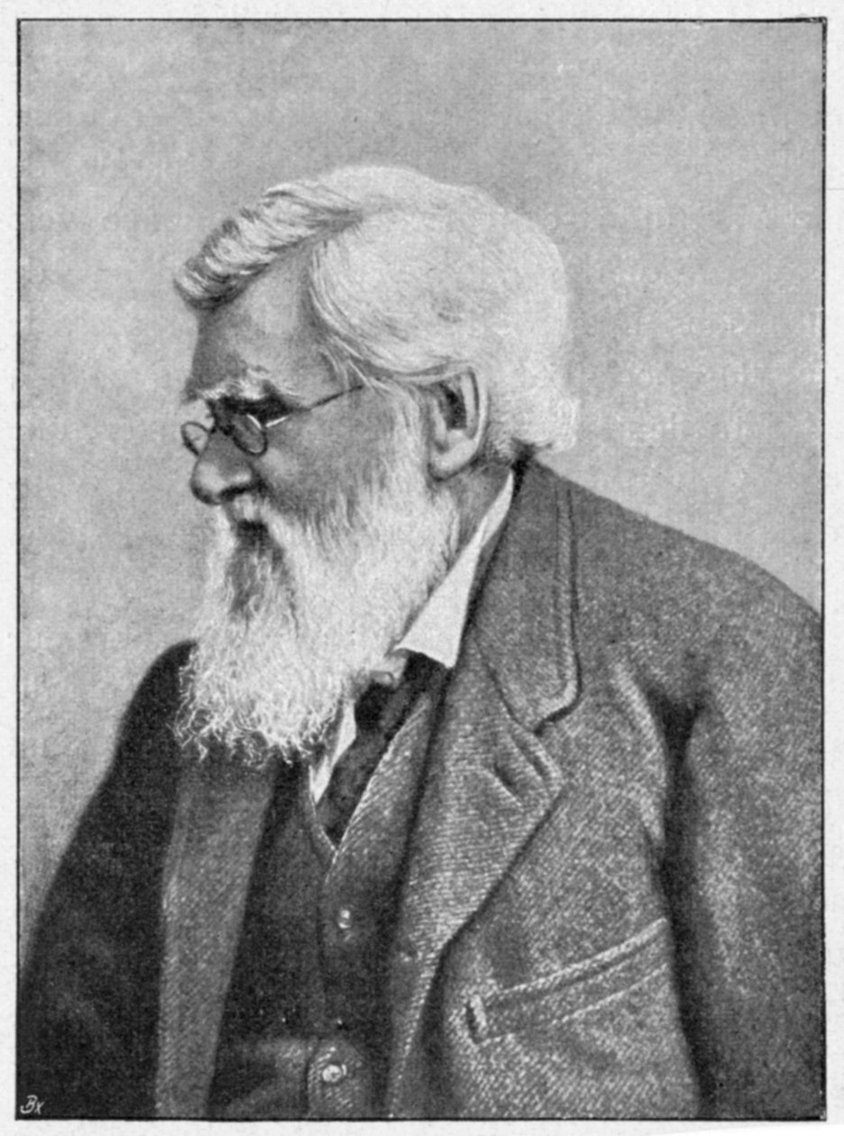 Alfred Russell Wallace, walisischer Naturforscher, ca. 1895 von Unbekannt