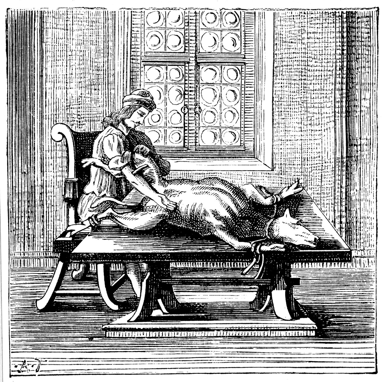 Tier-zu-Mensch-Bluttransfusion, 1679 von Unbekannt